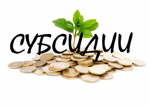 Продолжается прием документов на субсидии КФХ и сельхозкооперативам Продолжается прием документов на субсидии КФХ и сельхозкооперативам
